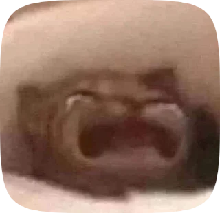 😭 emoji котятя от увувси Telegram sticker 19 of 51