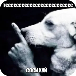 🖼 emoji Лол кек Telegram sticker 10 of 24