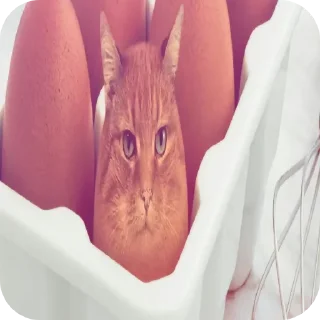 ♠ emoji Руслан вроде. Telegram sticker 6 of 39