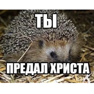 🫵 emoji иисус тебя не любит :3 Telegram sticker 17 of 57