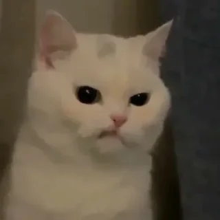 ❤️ emoji Те самые Telegram sticker 10 of 32