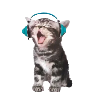 🐱 emoji Yuna @stvriiers Telegram sticker 7 of 60
