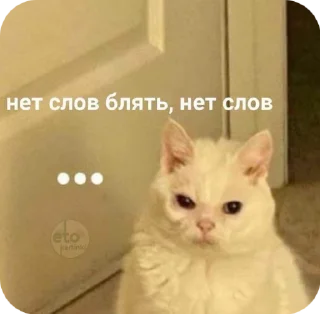 😠 emoji PIZDETS Telegram sticker 5 of 77