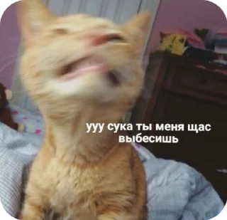 😡 emoji PIZDETS Telegram sticker 7 of 77