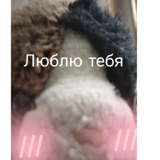 💞 emoji Васька Telegram sticker 9 of 40