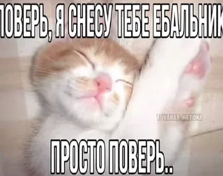 😴 emoji stickers v1rtty Telegram sticker 11 of 62