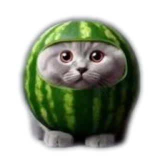 🫨 emoji Арбуз Telegram sticker 5 of 120