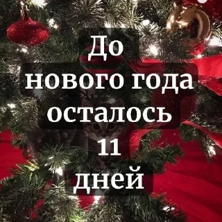🎅 emoji До нового года осталось... Telegram sticker 21 of 37