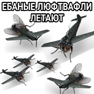 🦟 emoji Себастьян Перейра Telegram sticker 7 of 8