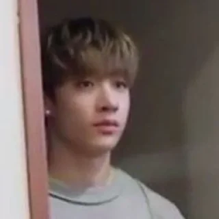 🅰️ emoji Муд стрэй кидс Telegram sticker 18 of 119