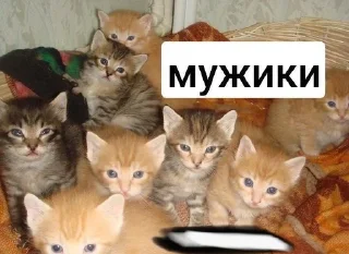 Sticker from myjiki
