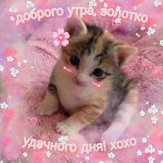 Sticker from ~Cute puk🦋~