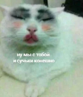Sticker from Пикчи 3