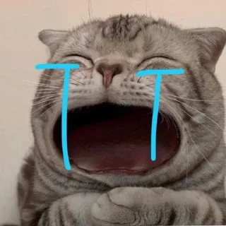 😭 emoji котики♡︎ Telegram sticker 11 of 19