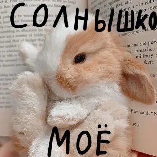 🐰 emoji Зайчики на все случаи жизни Telegram sticker 22 of 57