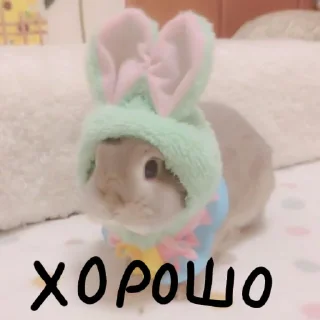 🐰 emoji Зайчики на все случаи жизни Telegram sticker 5 of 57