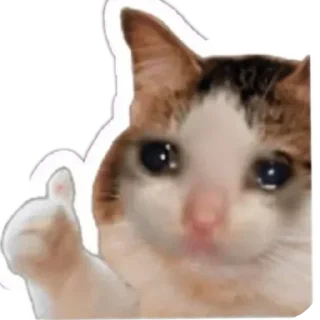 🐱 emoji Rizne : @fStikBot Telegram sticker 5 of 93