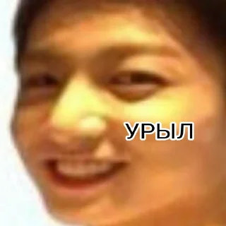 😉 emoji шанхайский тушканчик представляет /@_.v_kook_._ Telegram sticker 10 of 38