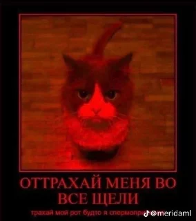 😭 emoji Машка 2 Telegram sticker 23 of 72
