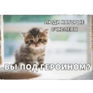 🤩 emoji Милые стикеры^^ Telegram sticker 6 of 28