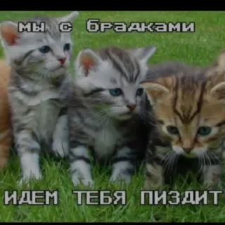 😉 emoji Милые стикеры^^ Telegram sticker 19 of 28