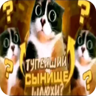🐱 emoji БОЛЬШЕ ⇨ @CLOOBHUB МЕМНЫЕ СТИКЕРЫ КИНИТО ПЕТ ПЭТ Telegram sticker 7 of 57