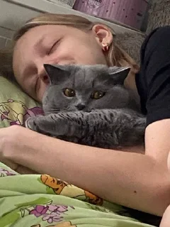 😭 emoji Кити кеты Telegram sticker 17 of 45