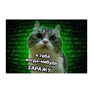 Sticker from Комары #1