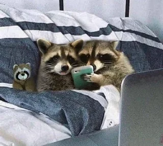 🌟 emoji 🦝🦝 Telegram sticker 7 of 34