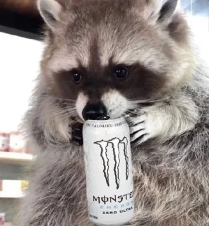 🌟 emoji 🦝🦝 Telegram sticker 19 of 34