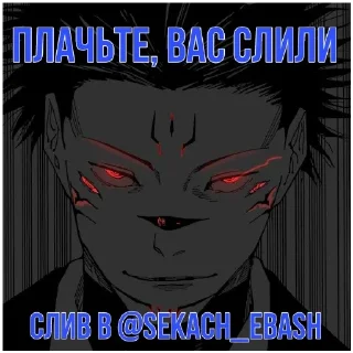 Sticker from СЕКАЧЬ 🐋