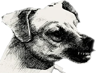 🐕 emoji Креветка Telegram sticker 12 of 23