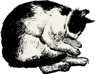 🛌 emoji Креветка Telegram sticker 14 of 23