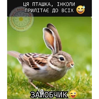 😅 emoji степан гіга, цей сон💋 Telegram sticker 23 of 106