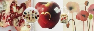 🌟 emoji ‎˖ . ݁𝜗𝜚. ݁₊ Telegram sticker 24 of 57