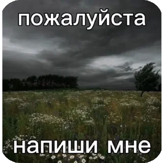 👍 emoji жиза Telegram sticker 16 of 76