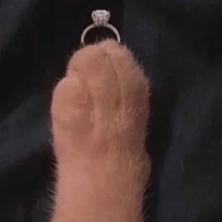 💍 emoji кто что где как когда всм Telegram sticker 13 of 24