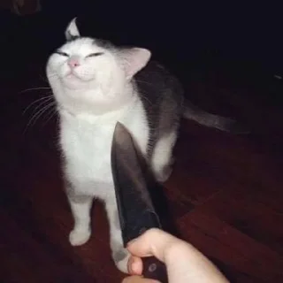 😋 emoji кто что где как когда всм Telegram sticker 20 of 24