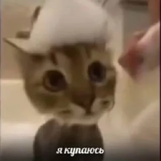 😶 emoji созерцать Telegram sticker 21 of 87