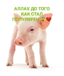 🦴 emoji Аллах Любимка❤️❤️ Telegram sticker 6 of 22