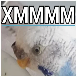 🤔 emoji Флекс папуги Telegram sticker 6 of 120