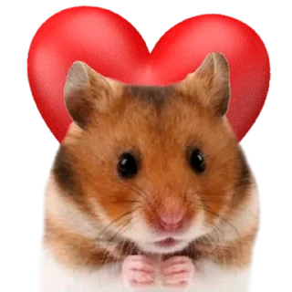 ❤️ emoji Х О М Я К И — @IMOEX Telegram sticker 6 of 52