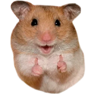 👍 emoji Х О М Я К И — @IMOEX Telegram sticker 4 of 52