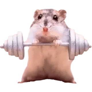 💪 emoji Х О М Я К И — @IMOEX Telegram sticker 11 of 52