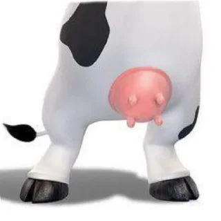 🧸 emoji Супер пенис Telegram sticker 9 of 9