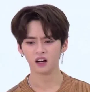 🥲 emoji StRaY KiDs Telegram sticker 7 of 63