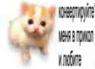 🐱 emoji я балбесик бебебе Telegram sticker 5 of 120