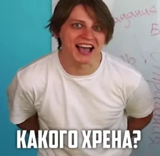 🆘 emoji Рандомные фото из моей галереи Telegram sticker 23 of 120