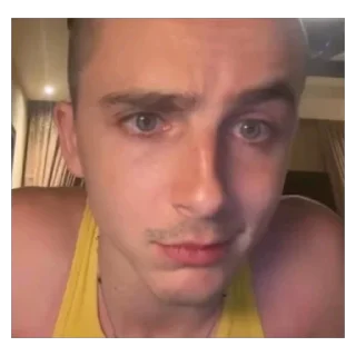🫥 emoji timothee Telegram sticker 2 of 19