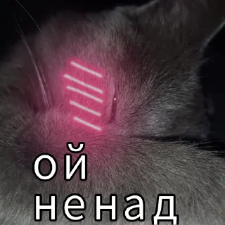 🥴 emoji Я пидарас Telegram sticker 23 of 24
